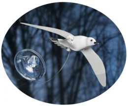 Solar powered seagull model kit Solar powered seagull model kit
