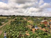 allotment5